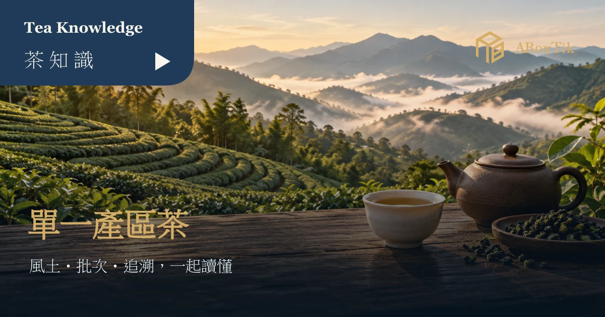 晨光中山坡茶園前的陶壺、茶湯與乾茶
