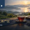 木桌上的红茶与远方日月潭湖景