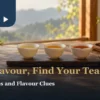 Three cups with different tea liquor colours and a teapot on a warm window-side tasting table