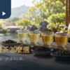五種適合冷泡的台灣茶風格選茶圖
