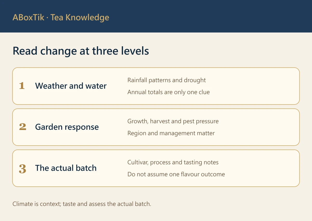 Climate Change and Taiwan Tea: Harvests and Flavour - ABoxTik 一盒精品 2 Three levels of tea and climate information: weather and water, garden response, and the actual batch