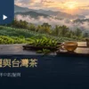 雨後茶園與霧氣山丘前的木桌，擺著茶壺、茶杯與綠色茶枝