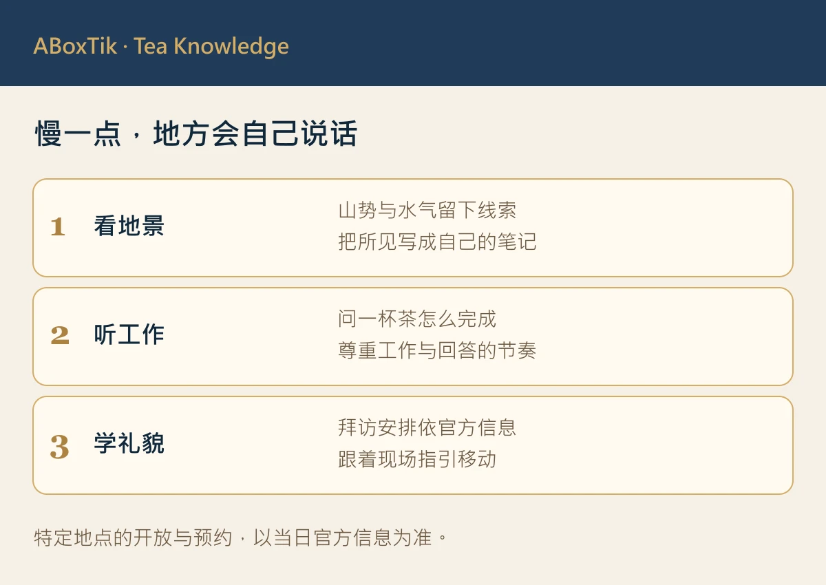 茶产区走读：台湾茶产区山景、茶园与旅行笔记的观察卡