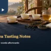 White porcelain tasting cups, a glass pitcher, oolong leaves and an open blank notebook on a warm wooden table