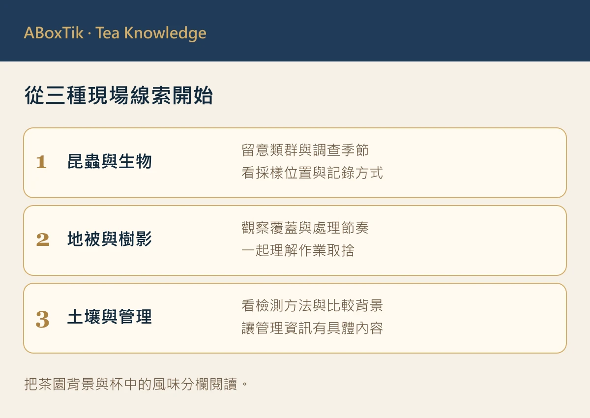 茶園行間的地被、茶樹與遠方樹影