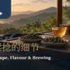窗边茶席上条索与球形干茶、茶壶及琥珀茶汤的暖色情境