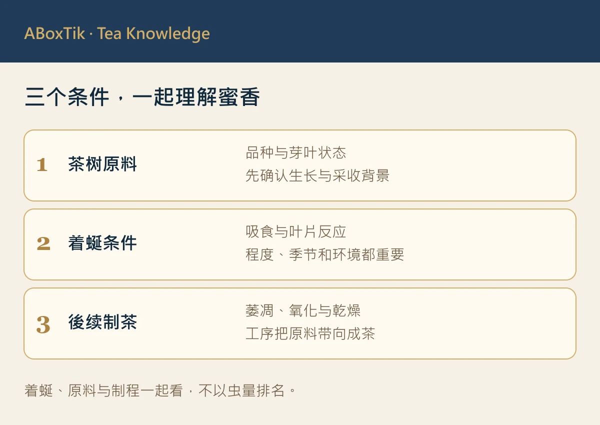 小绿叶蝉蜜香茶形成图解：鲜叶互动、植物回应与后续制茶