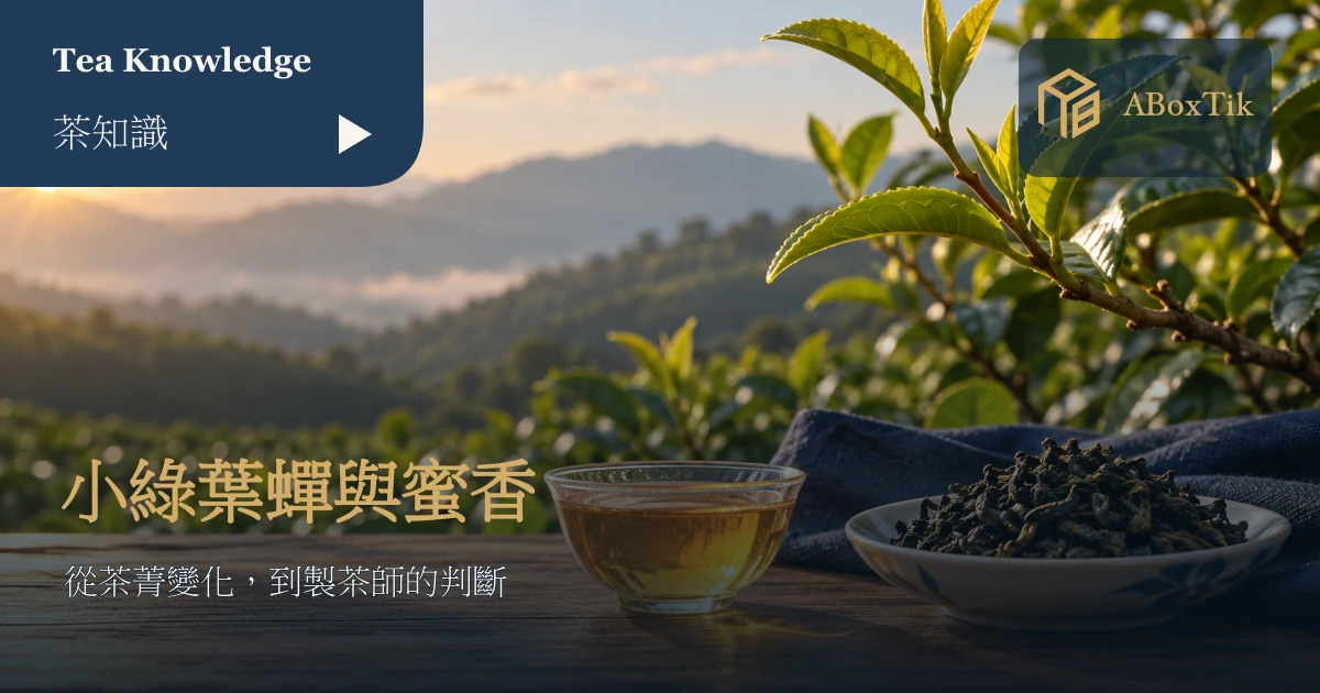 小綠葉蟬蜜香茶情境：嫩葉、小型綠色昆蟲與茶杯