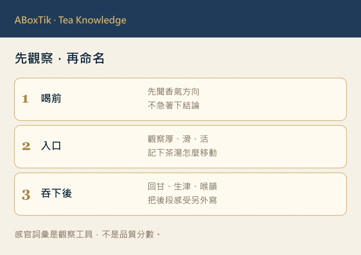 茶湯口感：茶湯厚、滑、活的入口口感觀察圖
