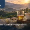 窗邊白瓷蓋碗、公道杯與兩只茶杯的暖色茶席