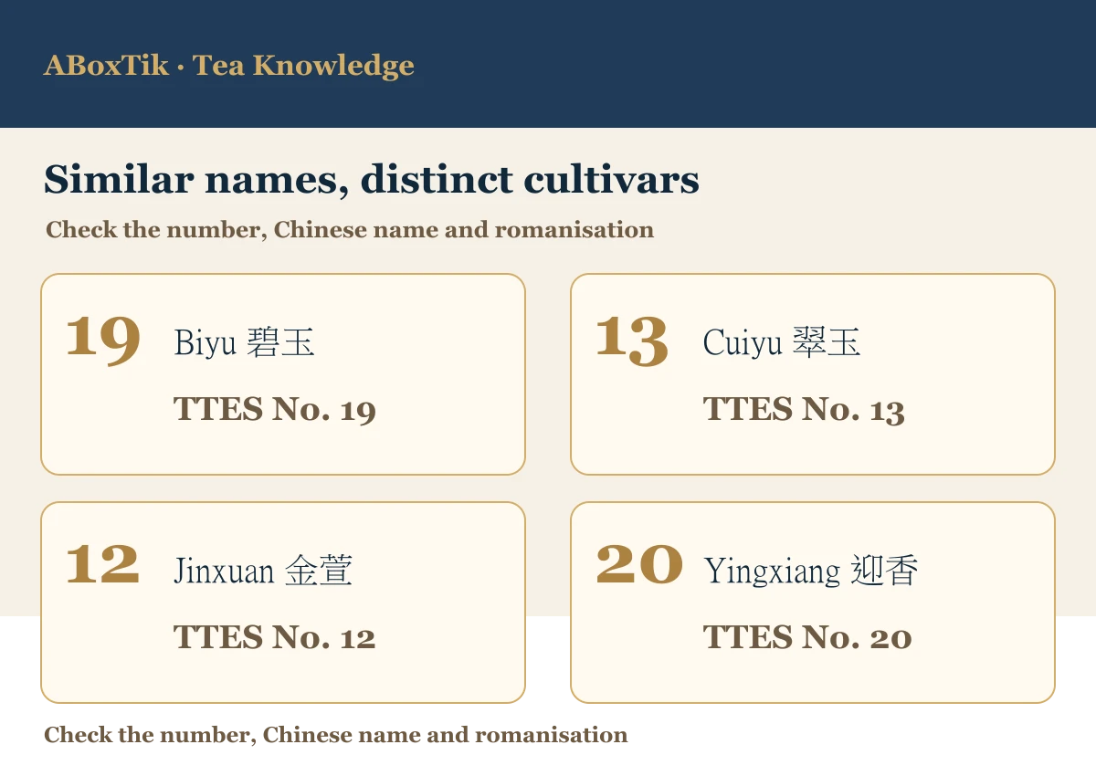 TTES No. 19 Biyu name guide alongside No. 13 Cuiyu, No. 12 Jinxuan and No. 20 Yingxiang
