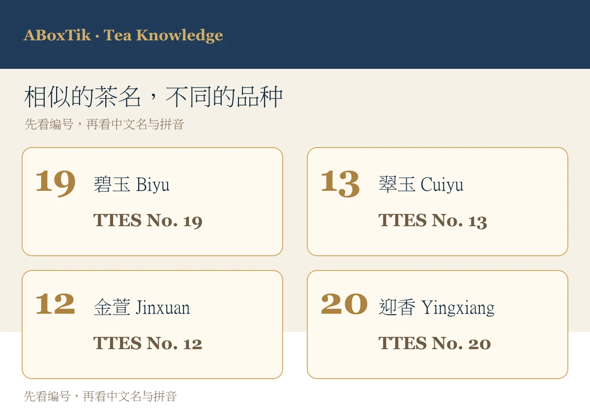 台茶19号碧玉与台茶13号翠玉、12号金萱、20号迎香的名称辨识图