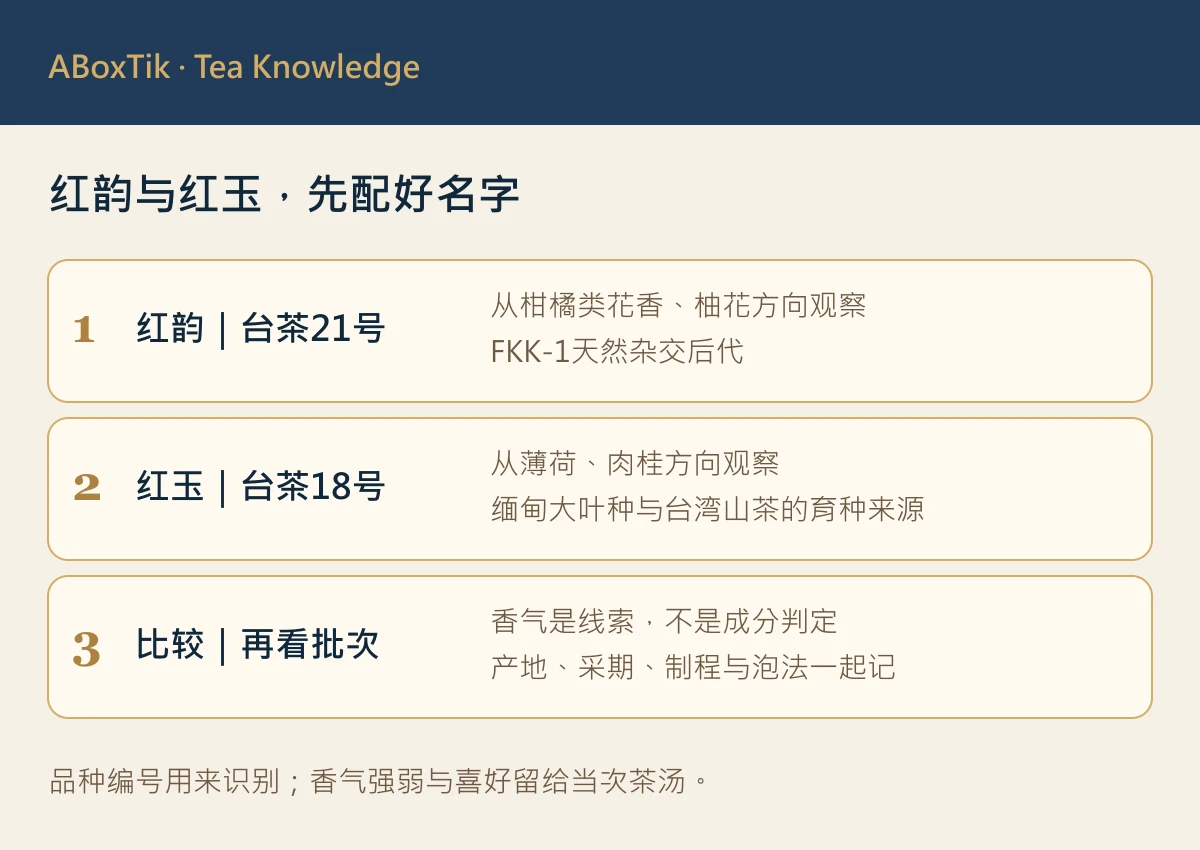 台茶21号红韵与台茶18号红玉的品种编号及香气观察比较图
