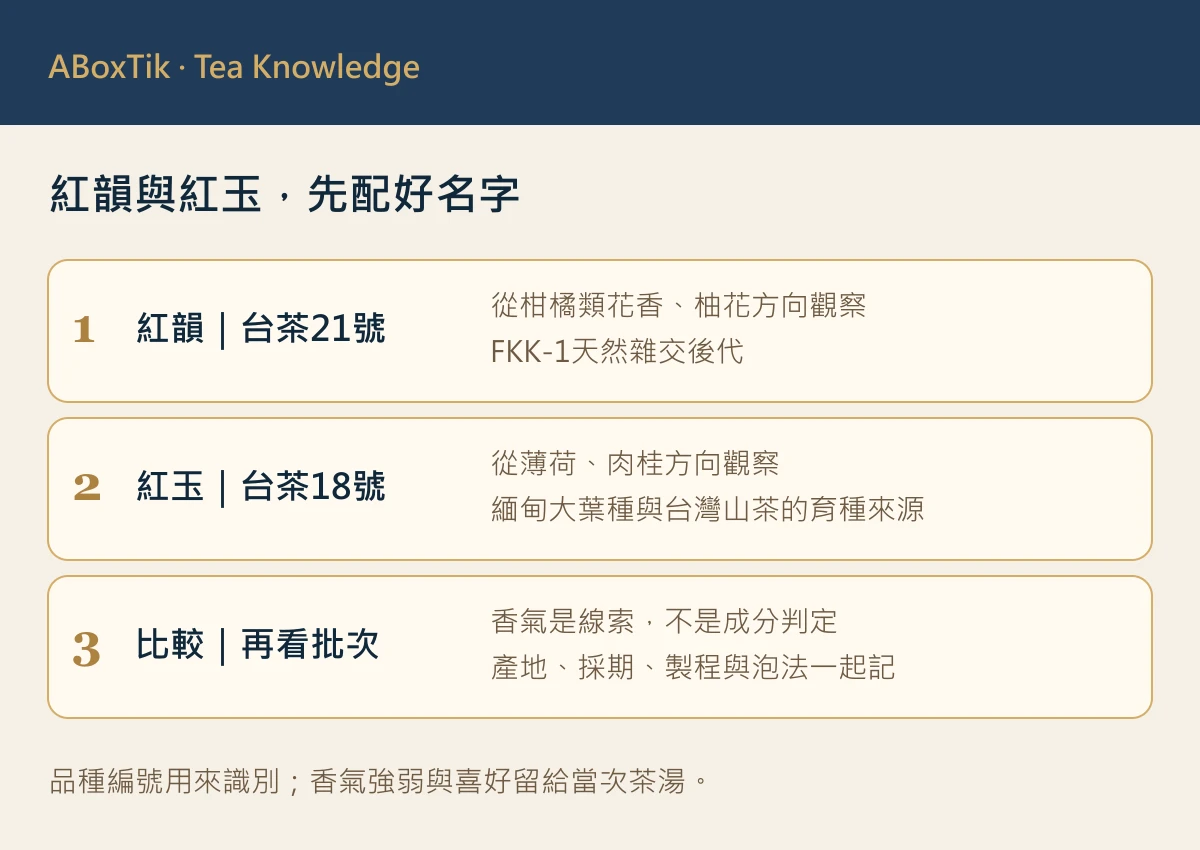 台茶21號紅韻與台茶18號紅玉的品種編號及香氣觀察比較圖