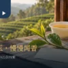 茶树嫩芽、干茶与白瓷茶杯旁的品种笔记卡