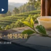 茶樹嫩芽、乾茶與白瓷茶杯旁的品種筆記卡
