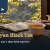 White porcelain cup of orange-red black tea with dry leaves and a blank notebook