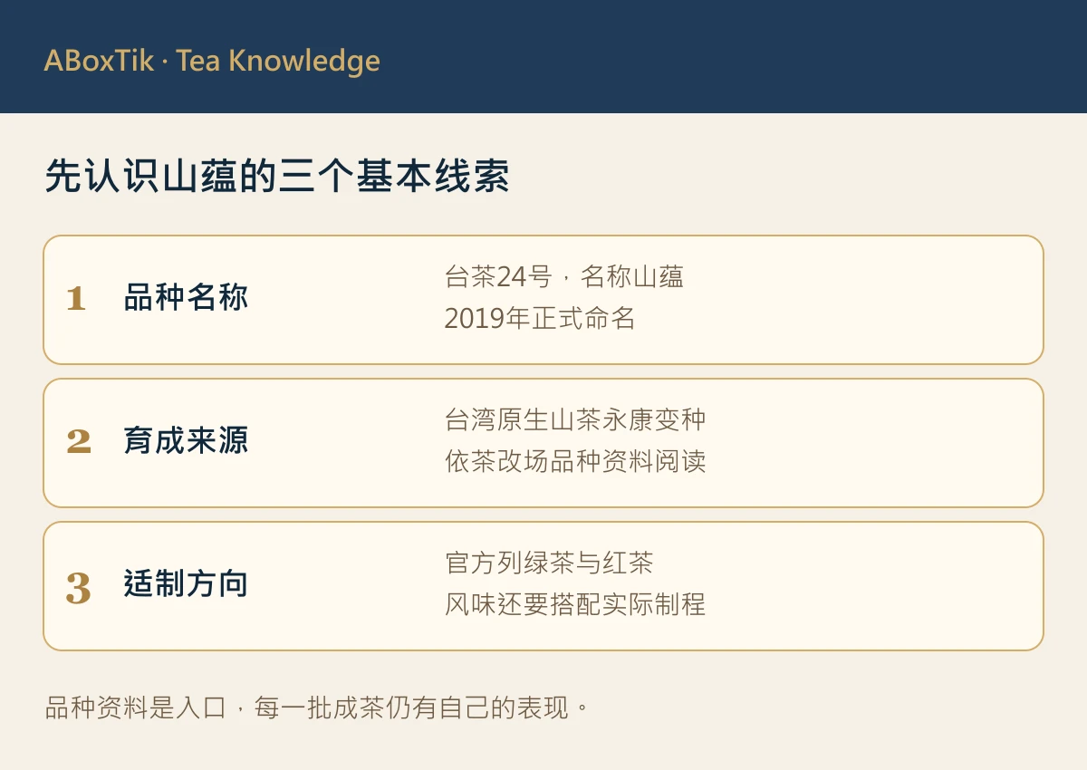 山蕴基本资料图：台茶24号、2019年命名、原生山茶永康来源及适制绿红茶