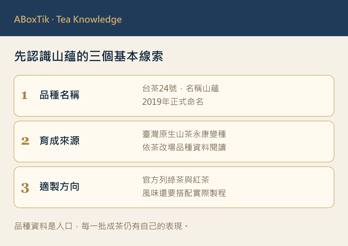 山蘊基本資料圖：台茶24號、2019年命名、原生山茶永康來源及適製綠紅茶