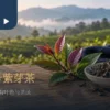 台茶25号紫芽茶情境：紫红嫩叶、干茶与白瓷杯