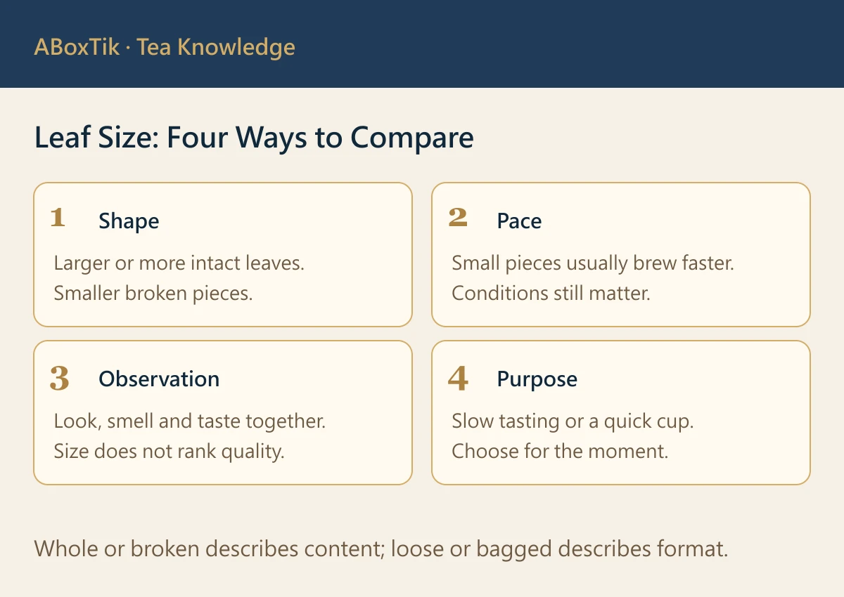 Four ways to compare whole and broken tea leaves: shape, pace, observation and use