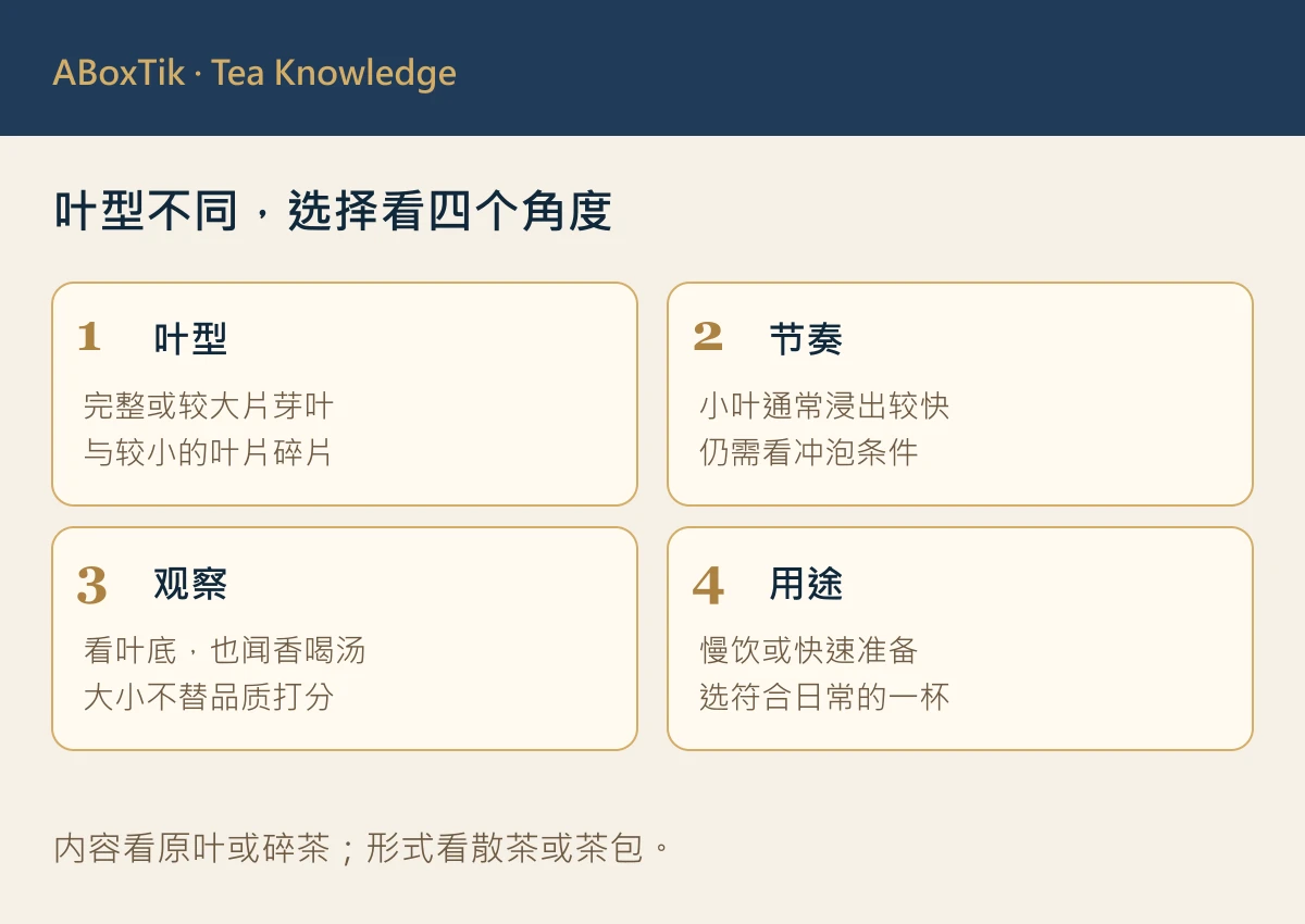 原叶与碎茶的叶型、浸出节奏、观察与用途四角度图解