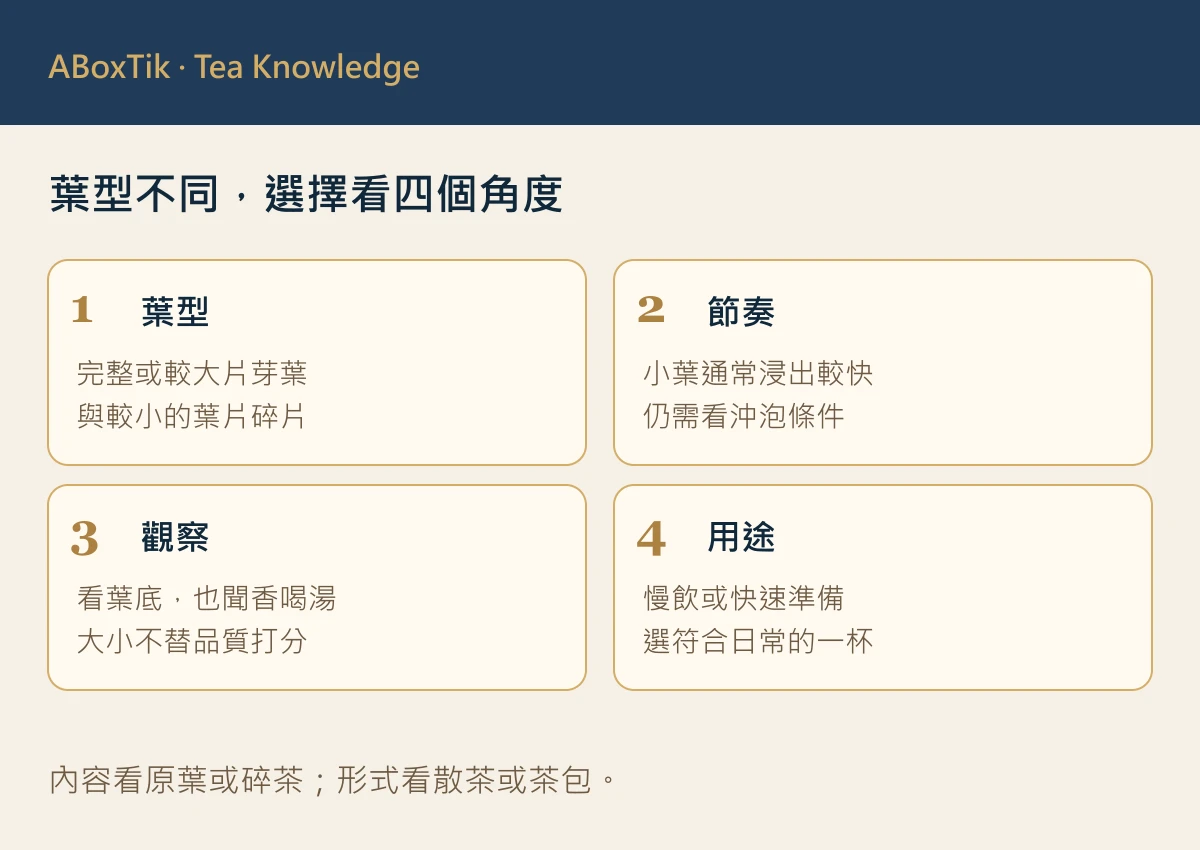 原葉茶與碎茶怎麼選?茶湯、沖泡與使用情境比較 - ABoxTik 一盒精品 2 原葉與碎茶的葉型、浸出節奏、觀察與用途四角度圖解