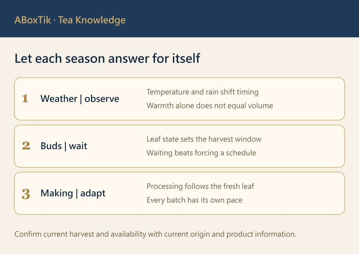 Winter-picked tea production checklist for weather, buds and leaf-based processing decisions