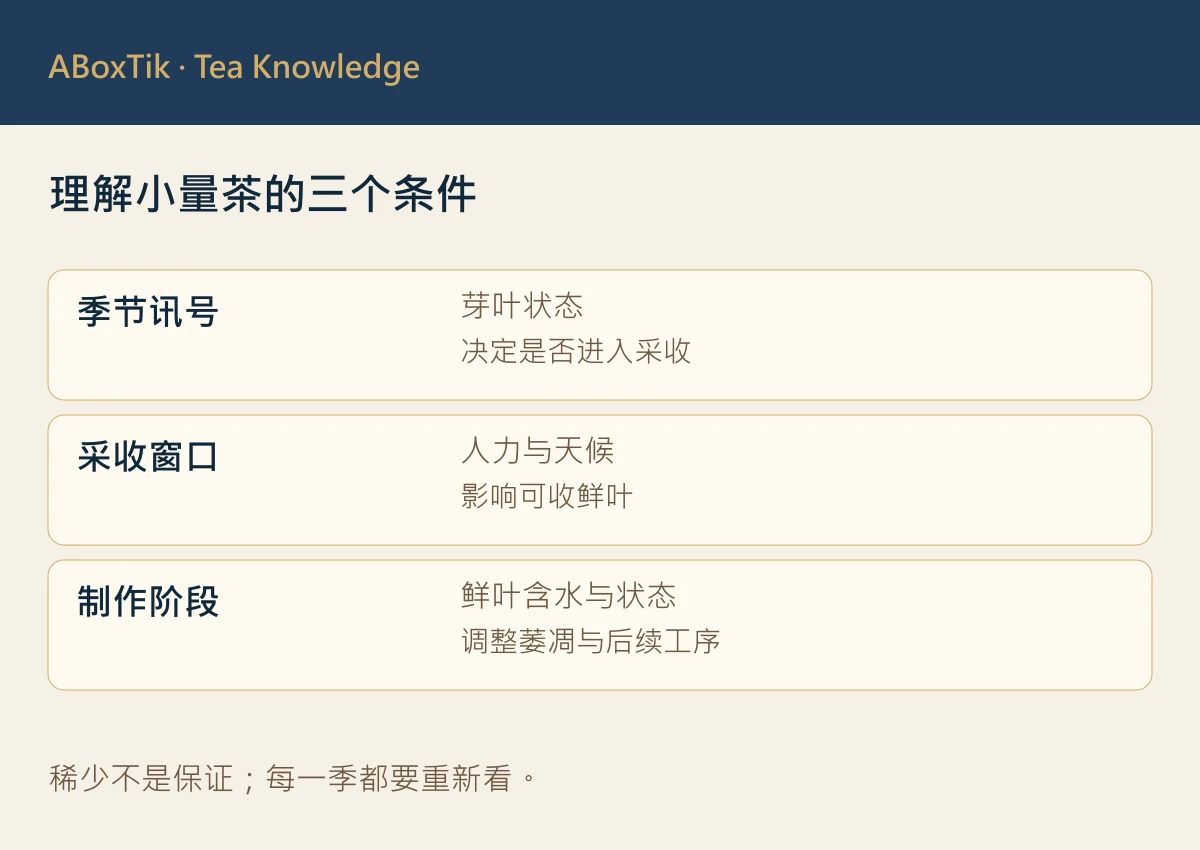 冬片茶从季节信号、采收窗口到制作阶段的条件示意
