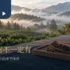 晨雾茶园与茶桌上的少量干茶、竹盘及一杯茶汤