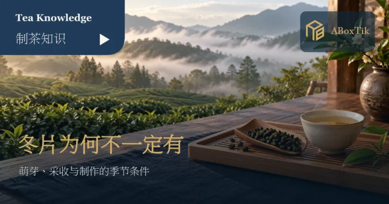 晨雾茶园与茶桌上的少量干茶、竹盘及一杯茶汤