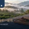 晨霧茶園與茶桌上的少量乾茶、竹盤及一杯茶湯