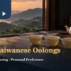 Three cups of pale golden tea beside a ceramic teapot and dry leaves in warm sunset light