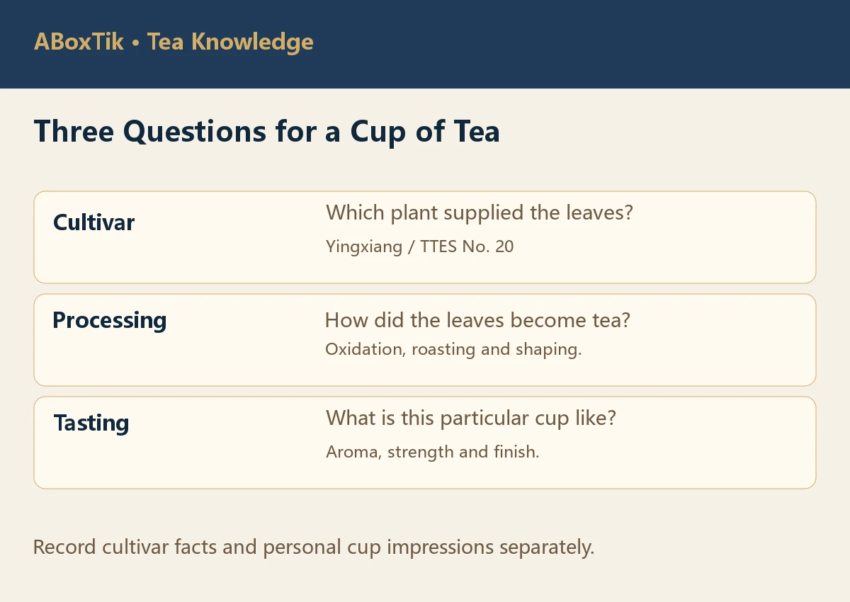 Three questions separating Yingxiang cultivar, processing and tasting