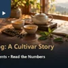 Warm tea table with two oolong cups, a teapot, illustrative tea sprigs and a blank notebook